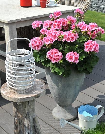 Pel_zon_smart_splash_2