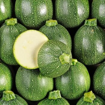 courgette_boldenice_ronde_1