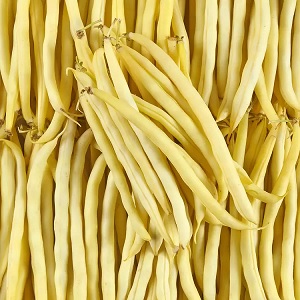 haricot_beurre_1