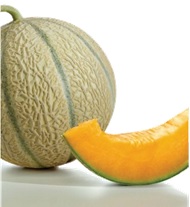 melon_edgar