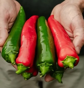 piment_picana